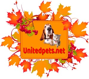 an up autumn greeting